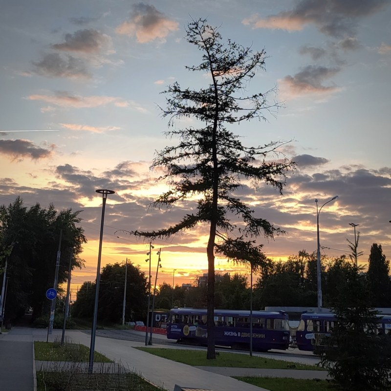 из этого места